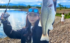 狼群社区在线看片